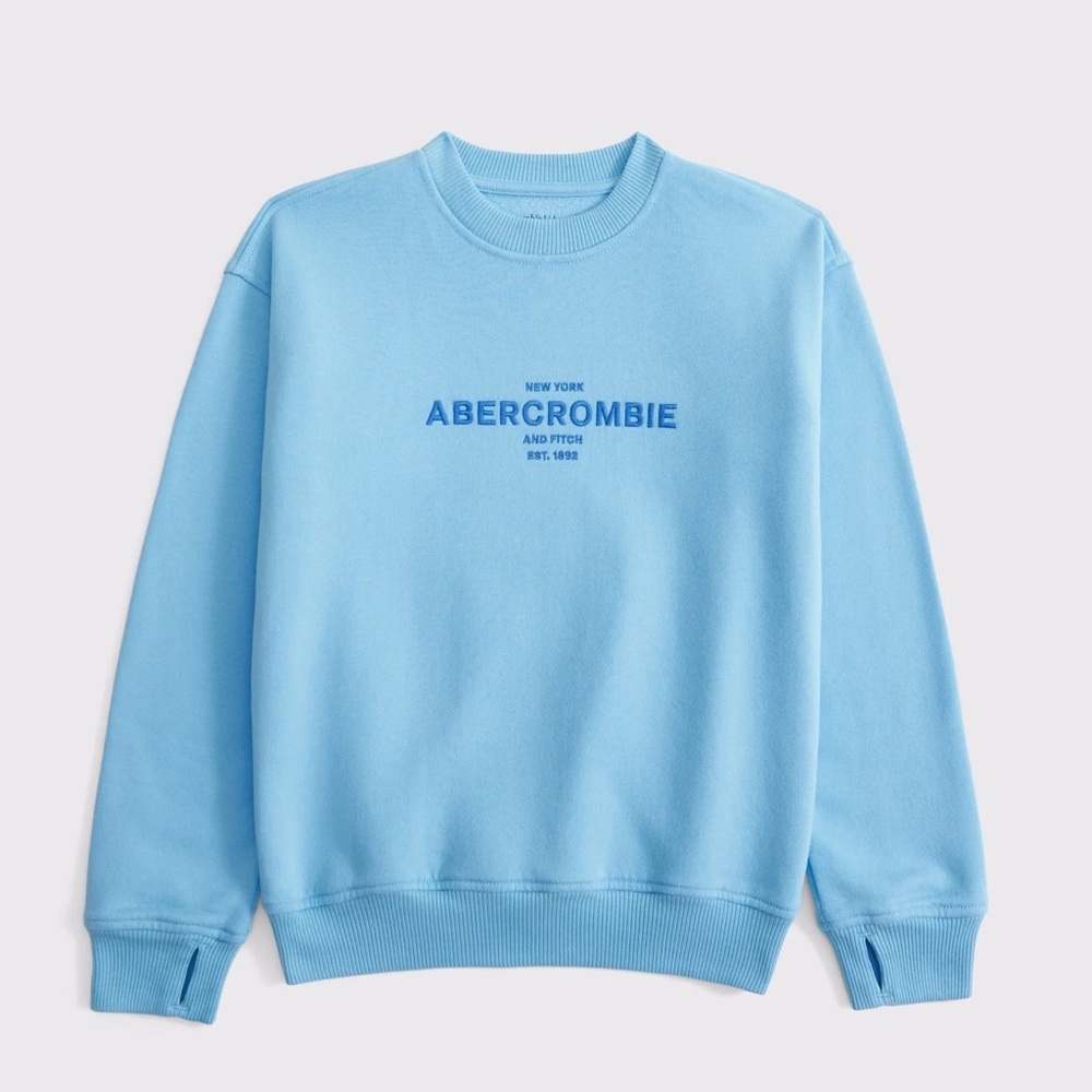 Kids Abercrombie & Fitch Blue Crewneck Spellout Sweater Sweatshirt Size 15/16